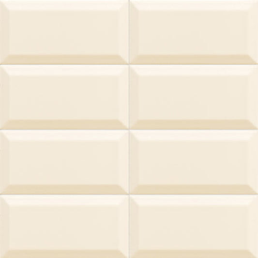 Bissel Vision 10x20cm