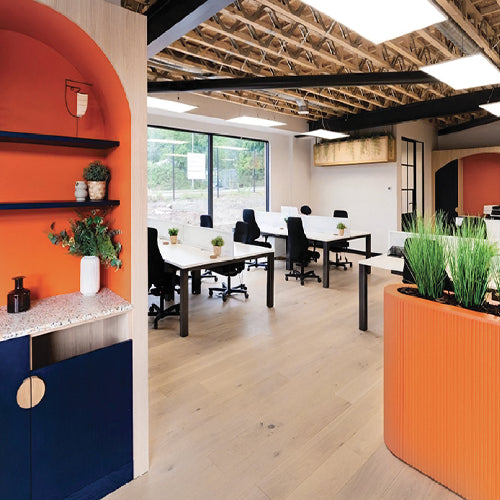 Modern office space with orange and blue walls, desks, and plants.