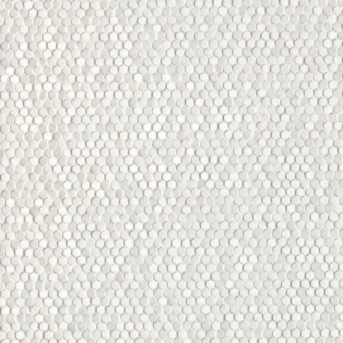 Phenomenon Glossy