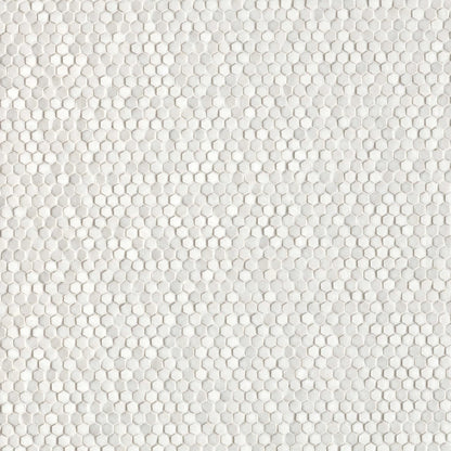 Phenomenon Glossy