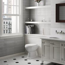 Load image into Gallery viewer, Lifestyle image of evolution gris claro tile in bathroom setting