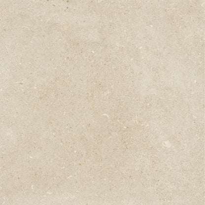 Shellstone floor tile
